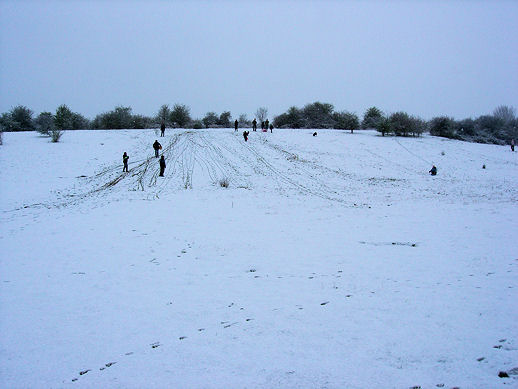 Bushfield - Snow Fun